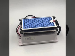 Produttore Certificazione CE nuovo generatore di ozono 10g doppia piastra ceramica lunghezza di vita parti di ozono