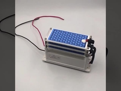 AC 220V 15g/h Piastra di ozono ceramica per la macchina di disinfezione dell'ozono