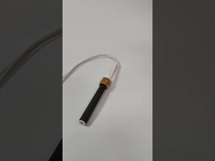 Caldaia a cartuccia a filettatura Hot Rod Accenditore in ceramica 300W 120V-240V