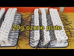 20g 8pcs Ozone Plate Gap Discharge Generatore di ozono ceramico assemblato